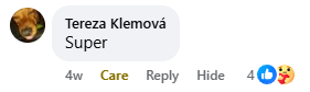 Recenzja na Facebooku 2