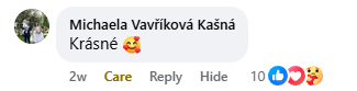 Recenzja na Facebooku 3