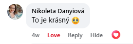 Recenzja na Facebooku 5