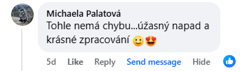 Recenzja na Facebooku 11