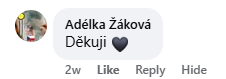 Recenzja na Facebooku 13