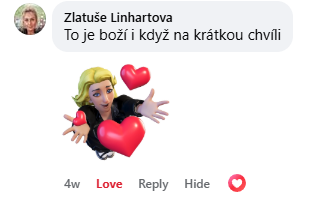 Recenzja na Facebooku 24